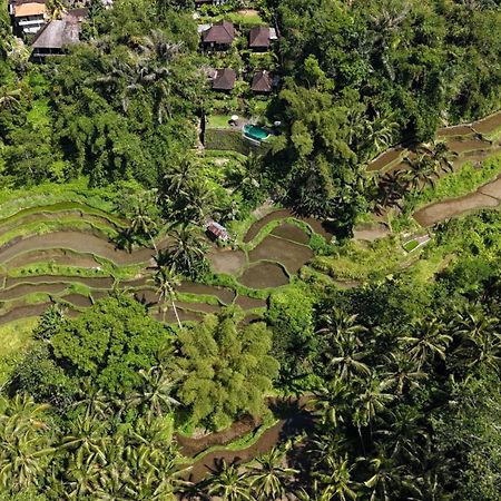 Villa Wedang Tegallalang  Exterior photo