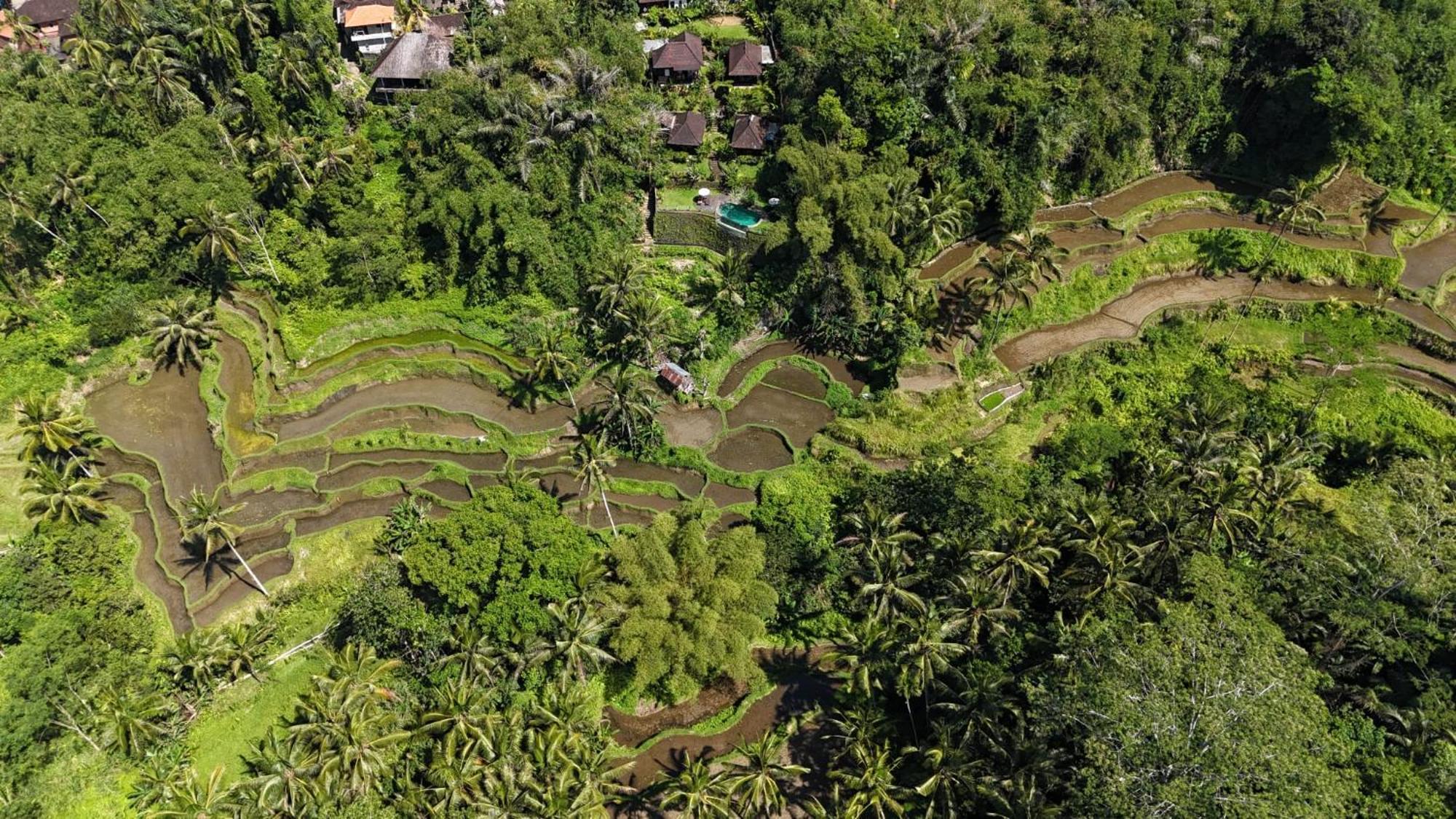 Villa Wedang Tegallalang  Exterior photo