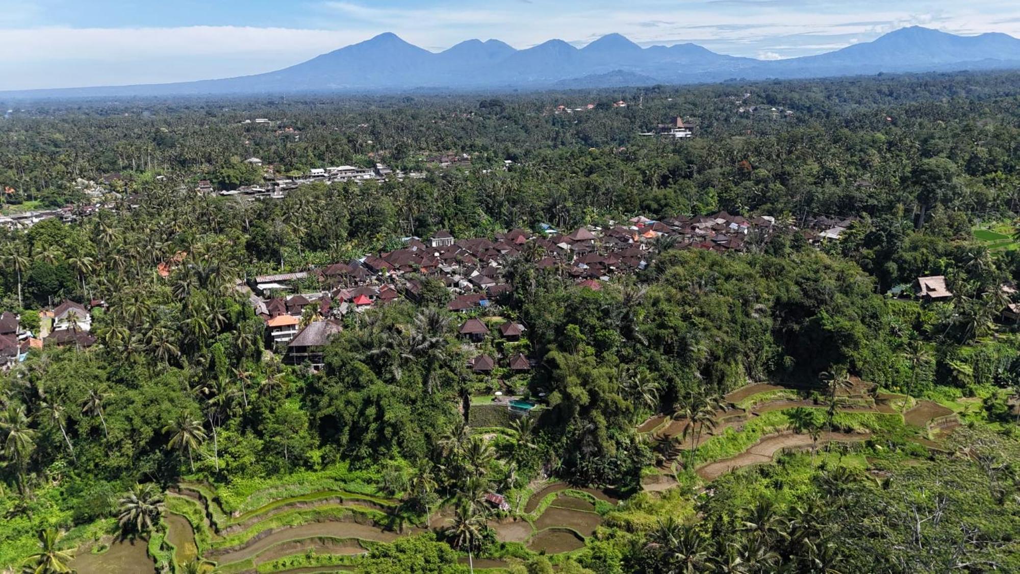 Villa Wedang Tegallalang  Exterior photo