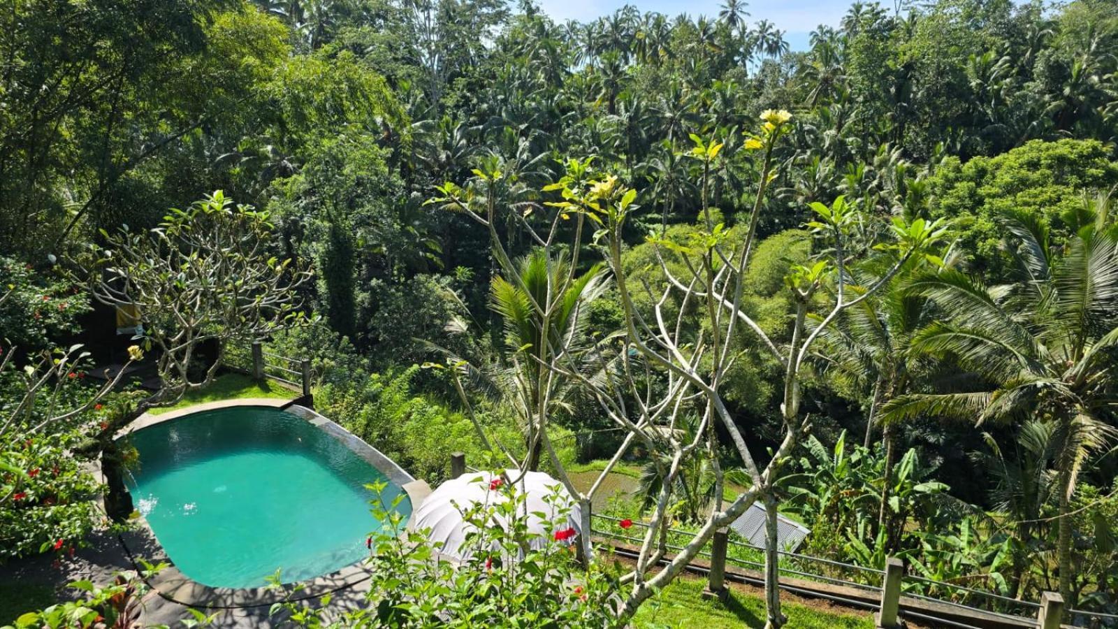 Villa Wedang Tegallalang  Exterior photo