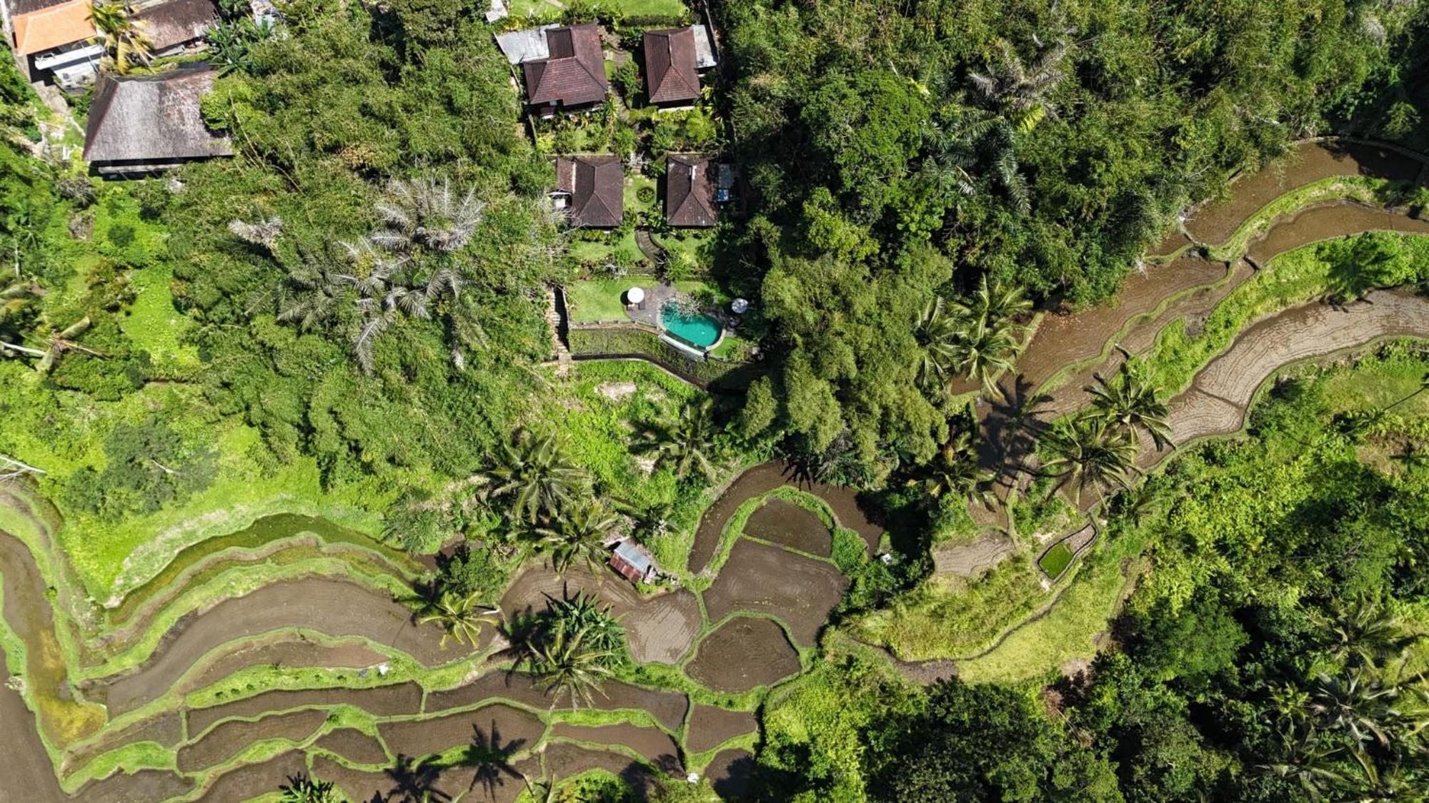 Villa Wedang Tegallalang  Exterior photo