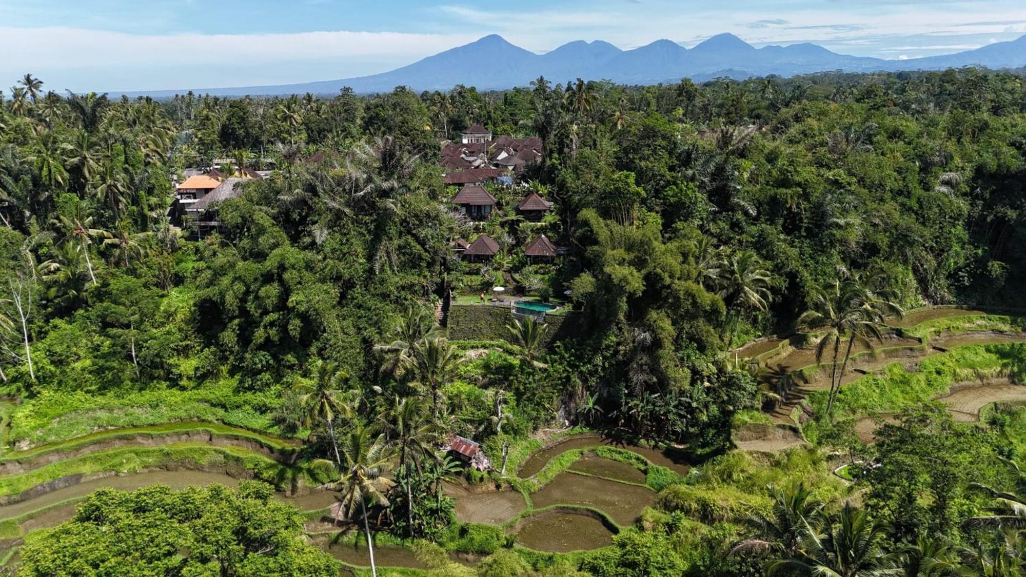 Villa Wedang Tegallalang  Exterior photo