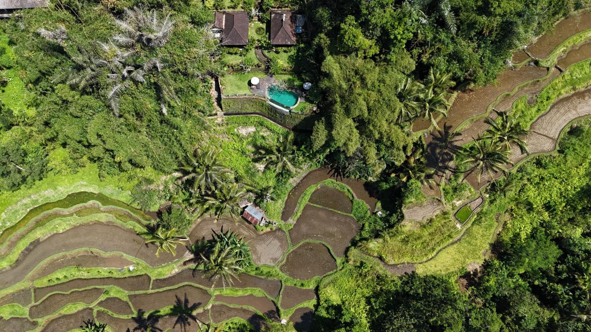 Villa Wedang Tegallalang  Exterior photo